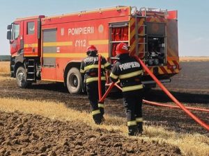 512660217 1145044264333577 5697462631303944984 n - În numai 24 de ore, flăcările au mistuit peste 1.300 de hectare de teren