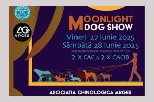 Untitled Project 7 - Competiție canină în nocturnă, în acest weekend la Bradu