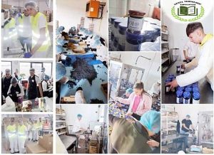 LICEUL TEHNOLOGIC TOPOLOVENI-locul unde elevii devin profesioniști 1 bfb9a773 ab50 49b1 8f6a 0e4594f3f262 - LICEUL TEHNOLOGIC TOPOLOVENI-locul unde elevii devin profesioniști