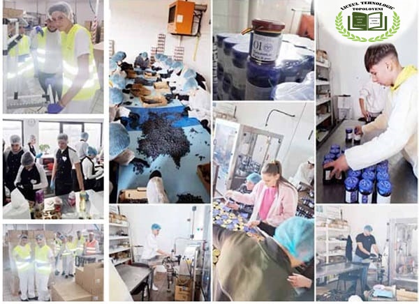 bfb9a773-ab50-49b1-8f6a-0e4594f3f262