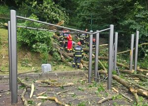 Un tânăr de 27 de ani a murit după ce un copac a căzut peste el 1 copac brasov 29 iun - Un tânăr de 27 de ani a murit după ce un copac a căzut peste el