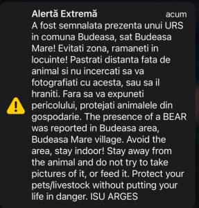 699ee3a2 5e5a 4368 be61 a70fe52d7f1c - Alertă în Budeasa! A fost semnalată prezența unui urs