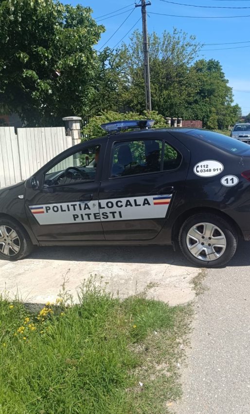 Mai mulți agenți economici din Pitești - amendați de polițiștii locali 1 controale politisti locali