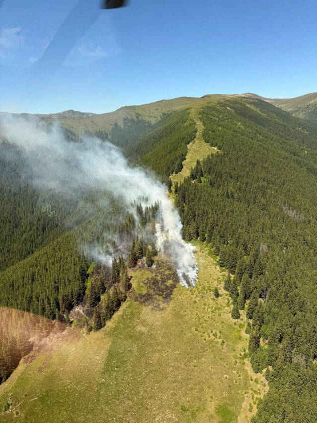 (Video) Argeș. Intervenție pentru stingerea unui incendiu izbucnit la fondul forestier 1 incendiu vegetatie forestier Argeș