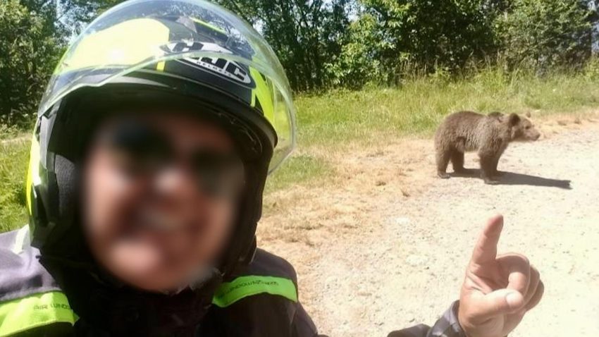 turist motociclist ucis de urs