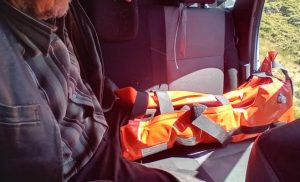 Argeș. Cioban cu entorsă la gleznă, după ce a fost fugărit de un urs 1 078aa557 dded 4c10 a891 472a1a8a21ef - Argeș. Cioban cu entorsă la gleznă, după ce a fost fugărit de un urs