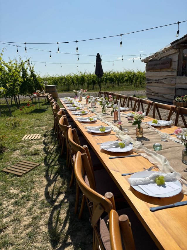 Crama Marcea: „Organizăm și evenimente la bistro-ul nostru din deal” 1 eveniment in vie la Marcea