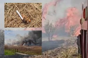page 1 - Incendiile de vegetație, tot mai frecvente! Peste 2.400 de intervenții în primele șase luni ale anului