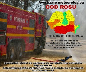 cod rosu de canicula
