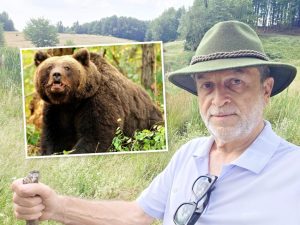 Singur în munţi, omul de afaceri Ion Brănescu a dat nas în nas cu ursul! „Nu a fost timp nici să-mi fie frică!” 1 Ion Branescu urs fagaras