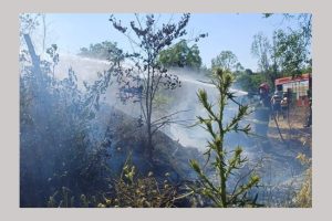 incendiu pompieri Argeș