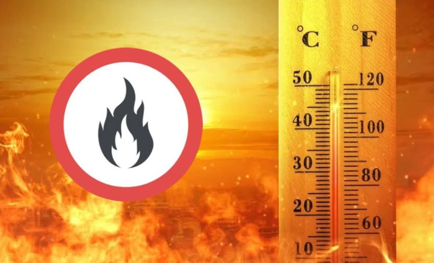 Sursă foto: FB Primăria Orasului Mioveni.