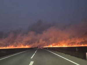 Incendiu violent de vegetație uscată! Trafic blocat pe DN 56 1 whatsapp image 2025 07 07 at 21 50 56 - Incendiu violent de vegetație uscată! Trafic blocat pe DN 56