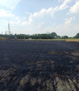 33a90c4e b24d 4e70 b8b4 c6f46851d687 - Pompierii români, mobilizați în Franța pentru stingerea unui incendiu de pădure