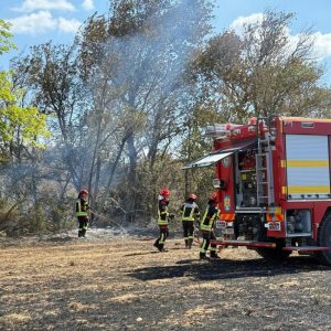 Pompierii români, mobilizați în Franța pentru stingerea unui incendiu de pădure 2 87f90562 cd04 48ac ac1d df0b55c93726 - Pompierii români, mobilizați în Franța pentru stingerea unui incendiu de pădure