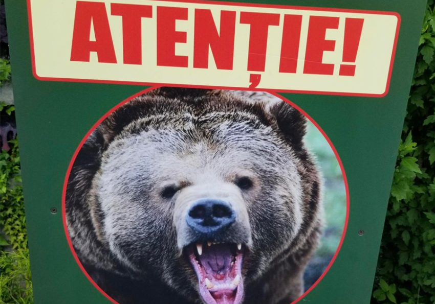 Sursă foto: FB CJ ARges