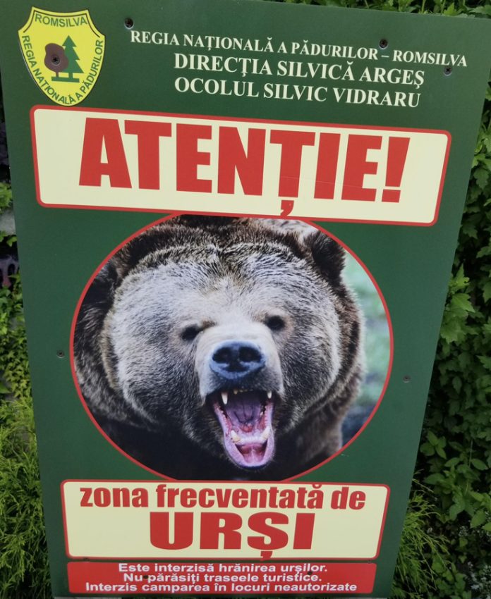 RECOMANDĂRI Salvamont: Ce trebuie să faceți dacă vă întâlniți cu un URS? 1 Sursă foto: FB CJ ARges