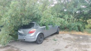 (Video) Vremea a făcut ravagii în mai multe localități din Argeș 5 WhatsApp Image 2025 07 09 at 20.28.16 - (Video) Vremea a făcut ravagii în mai multe localități din Argeș