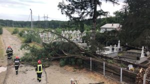 WhatsApp Image 2025 07 09 at 20.29.04 - (Video) Vremea a făcut ravagii în mai multe localități din Argeș