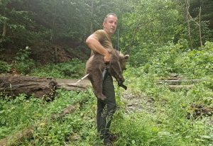 517885636 1043796117838983 8016991294443196939 n - Vești bune! Unul dintre puii ursoaicei împușcate pe Transfăgărășan a fost găsit