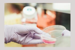 analiza laborator microscop celule