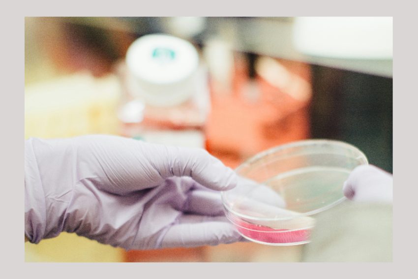 analiza laborator microscop celule analiza laborator microscop celule