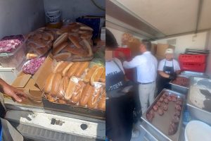 cats - Controale la Festival Beach, Please! Produse alimentare retrase și amenzi de 53.000 de lei