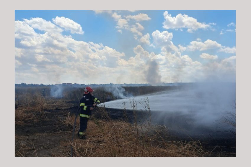 incendiu vegetatie Argeș incendiu vegetatie Argeș