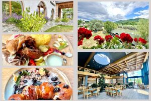 Complexul Turistic Casa Lăzăroiu – Relaxare și Tradiție în Inima Naturii 1 Casa Lazaroiu