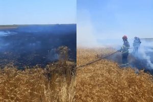 page - Incendiu în Suseni! 5.000 mp de teren au fost mistuiți de flăcări