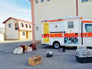 Foto: ediția tipărită.