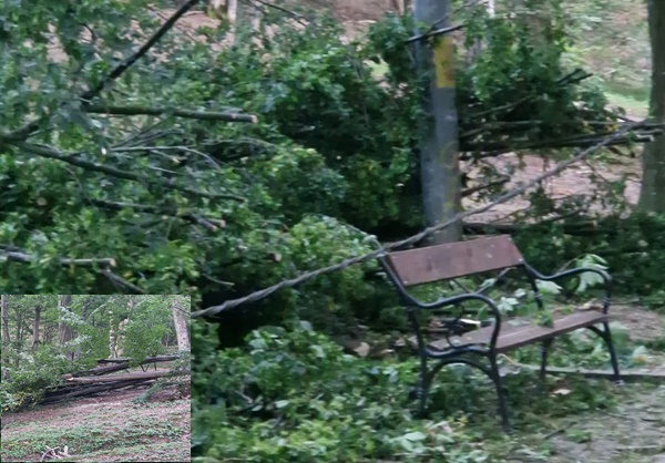 b2b49056-92bb-4f73-9de9-b088c2247d13