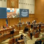 Sursă foto: screenshot FB Parlamentul României - CAmera Deputatilor