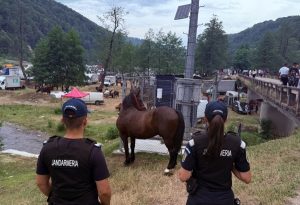 Cal furat în urmă cu doi ani, găsit la Târgul de Marină de la Berevoești! 1 a916ee49 fd42 4ec3 8757 fa4e8c45bede - Cal furat în urmă cu doi ani, găsit la Târgul de Marină de la Berevoești!