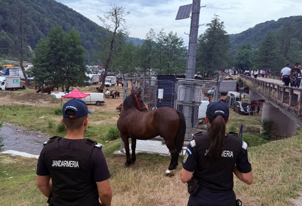 a916ee49-fd42-4ec3-8757-fa4e8c45bede