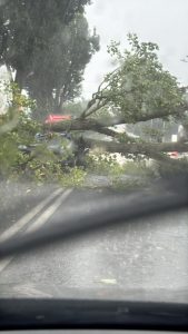 copac furtuna 1 - (Video) Autostrada A1, afectată de vremea severă!