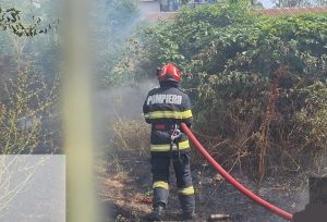 d5ff5180 c787 465b afe7 adfa892ace41 - Incendii de vegetație în Pitești și două comune din Argeș