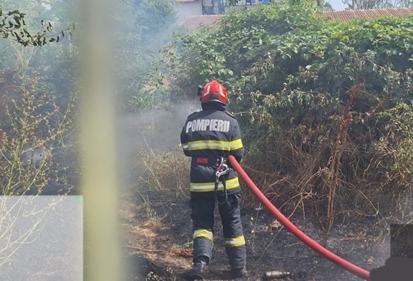 d5ff5180-c787-465b-afe7-adfa892ace41