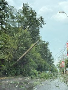 furtuna 2 - (Video) Autostrada A1, afectată de vremea severă!