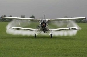 518327161 2339303443130777 2949639618125865085 n - Atenție! Campanie de dezinsecție la Bradu