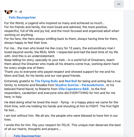 Sursă foto: FB Mihaela Radulescu Schwartzenberg