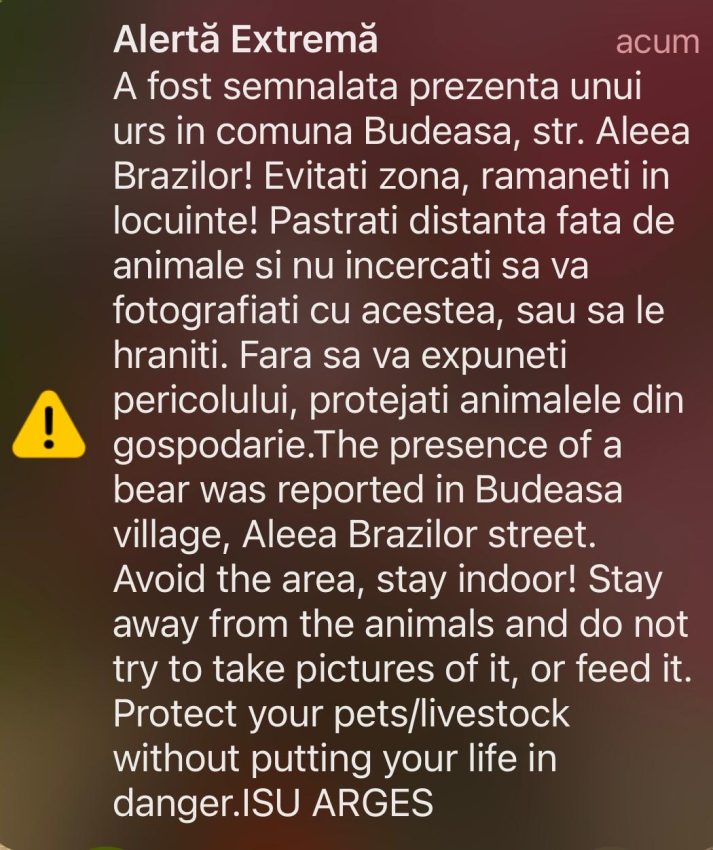 WhatsApp Image 2025 07 22 at 19.19.55 - Alertă în comuna Budeasa! A fost semnalată prezența unui urs