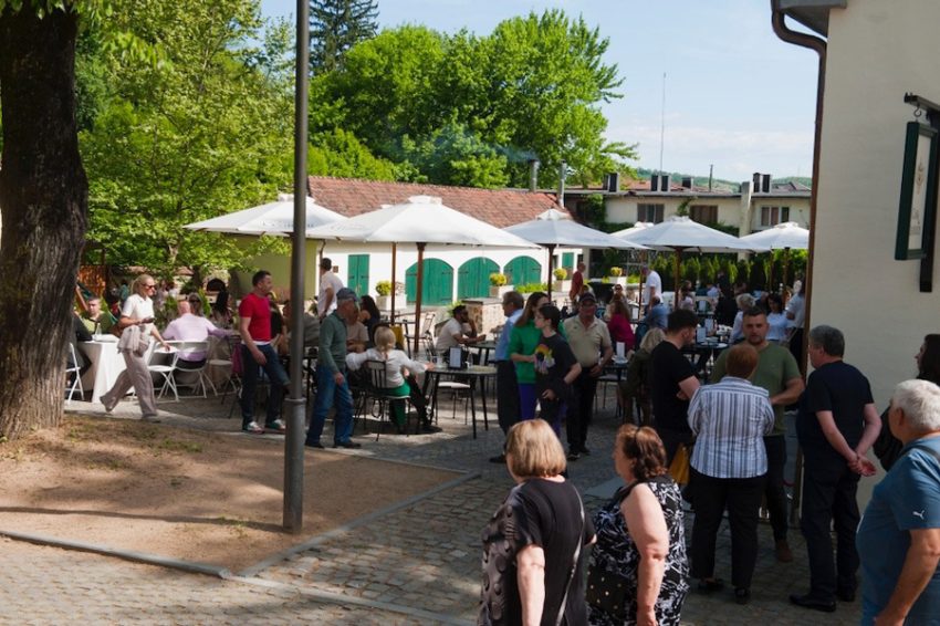 Parcul Regal Săvârșin închide temporar în august 2025 pentru lucrări de reparații. Ce puteți vizita? 3 Sursă foto: FB Familia Regală a României.