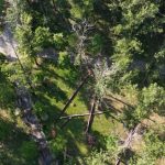 Sursă foto: Primaria Munciipiului Pitesti