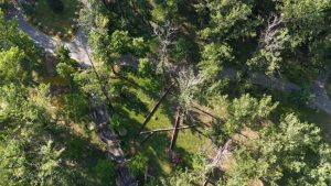 Sursă foto: Primaria Munciipiului Pitesti