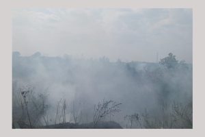 incendiu vegetatie uscata Argeș