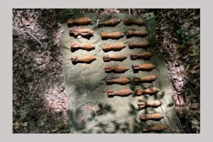 Untitled Project 1 1 - Elemente de muniție de război descoperite la Bascov de un bărbat cu un detector de metale