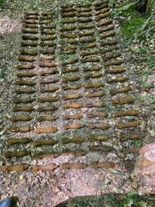 496e7c56 e27c 4d06 ad5b 057a07f1a61e - 390 de elemente de muniție din Primul Război Mondial, descoperite în Bascov