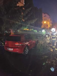 Vremea creează probleme în Curtea de Argeș! Acoperiș luat de vânt și copac căzut peste o mașină 1 93b641ae db63 4c7e bfff 3ed28cbc799a - Vremea creează probleme în Curtea de Argeș! Acoperiș luat de vânt și copac căzut peste o mașină