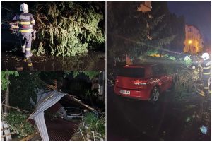 page 7 - Vremea creează probleme în Curtea de Argeș! Acoperiș luat de vânt și copac căzut peste o mașină